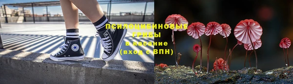 кокс Магас