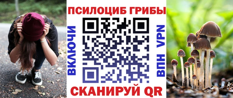 Галлюциногенные грибы GOLDEN TEACHER  Купить закладки  Жигулёвск 